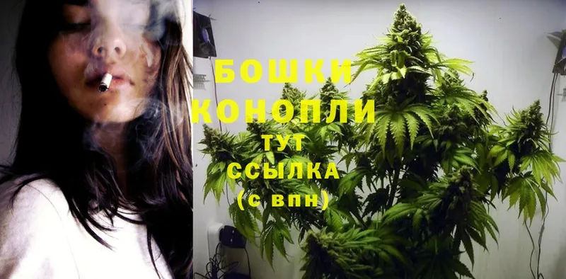 Шишки марихуана SATIVA & INDICA  хочу наркоту  Зима 